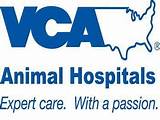 Animal Hospitals In Pa