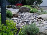 Landscaping Rocks Tampa Photos