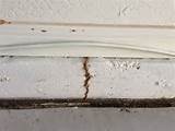 Pictures of What Are Signs Of Termite Damage