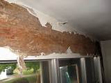 Photos of Should You Buy A House With Termite Damage