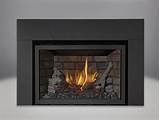 Gas Fireplace Insert Covers Photos