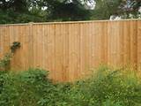 Wood Fence Uk Pictures