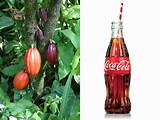 Photos of Original Coca Cola Bottle Design