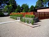 Pictures of Modern Landscaping