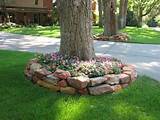 Photos of Rock Landscaping Around Trees