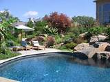 Pool Landscaping Images Pictures