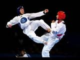Best Taekwondo Knockouts Pictures