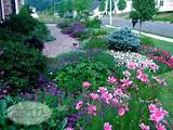 Yard Flowers Landscaping Pictures