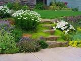 Pictures of By The Yard Landscaping