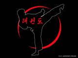 Taekwondo Way Pictures