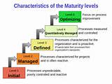 It Service Management Maturity Model