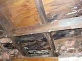 Pictures of Roof Leak Detectors