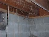 Images of Termite Tunnels Hanging From Ceiling