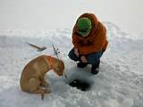 Images of In Fisherman Ice Fishing