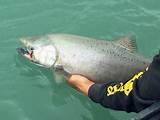 Photos of Kenai Fishing Guides