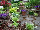 Rustic Backyard Landscaping Ideas Images
