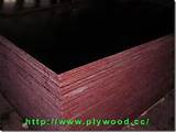 Plywood Qatar