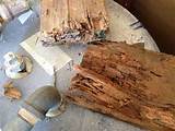 Photos of Repair Termite Damage With Epoxy