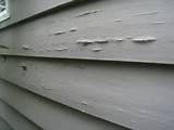 Termite Damage Under Paint Images