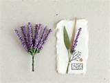 Photos of Lavender Paper Flowers
