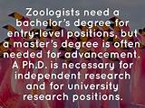 Zoology Master Degree Photos
