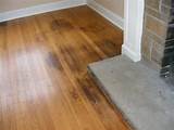 Best Floor Vacuum For Hardwood Pictures