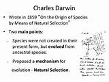 Theory Of Evolution Main Points Images