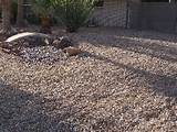 Madison Landscaping Rock Pictures