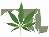 Maryland Medical Marijuana Laws