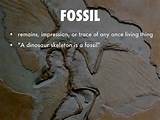 Images of Is A Dinosaur Fossil A Living Thing