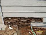 Non Structural Termite Damage