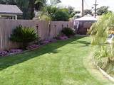 Images of Tropical Backyard Landscaping Ideas Pictures