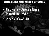 Images of What Dinosaur Fossil Was Found On Vega Island In 1986