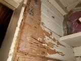 Repair Termite Damage Door Frame Images