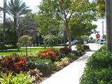 Photos of Landscaping In Florida