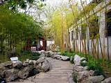 Garden Design Using Bamboo Photos