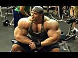 Images of Best Bodybuilding Training Videos