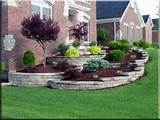 Plants For Backyard Landscaping Pictures