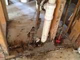 Photos of Wood Rot Vs Termite Damage