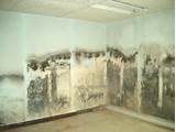 Images of Mold Remediation Video