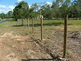Images of Electric Wire Dog Fence