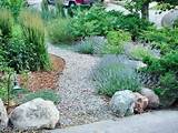 Water Wise Front Yard Landscaping