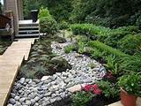 Dry Garden Landscaping Ideas Pictures
