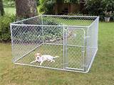 Puppy Containment Fence Photos