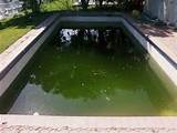 Swimming Pool Acid Images