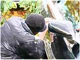 Images of Auto Theft Lawyer