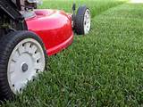 Pictures of Lawn Care Service