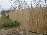 Bamboo Fencing Cheap Images