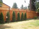 Redwood Lattice Top Fence Panel Pictures