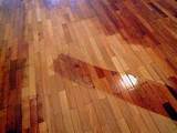 Photos of Oil Finish Wood Floor